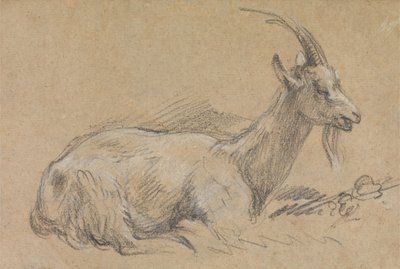 Studio di una capra da Thomas Gainsborough